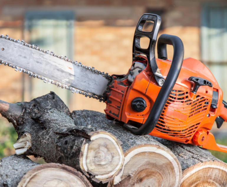 Guide For Selecting a Tree Cutting Service